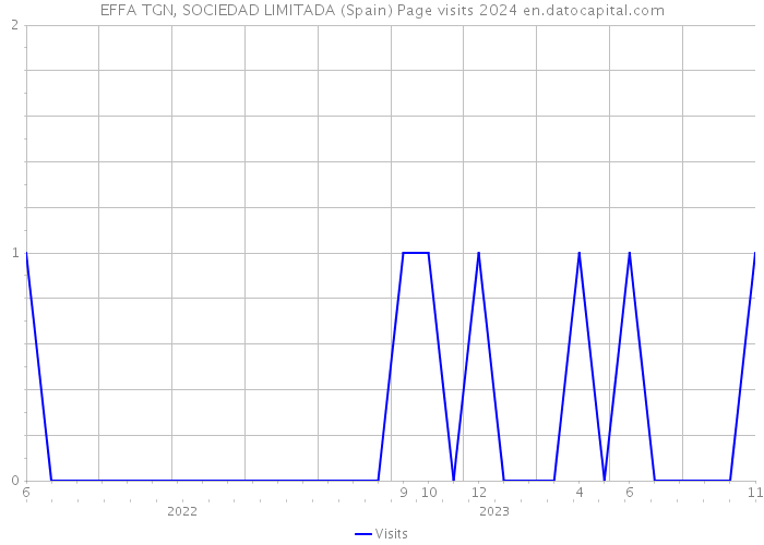 EFFA TGN, SOCIEDAD LIMITADA (Spain) Page visits 2024 