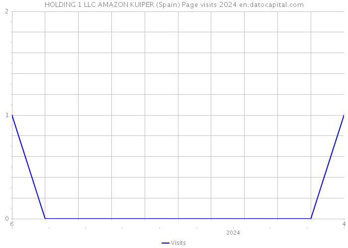 HOLDING 1 LLC AMAZON KUIPER (Spain) Page visits 2024 