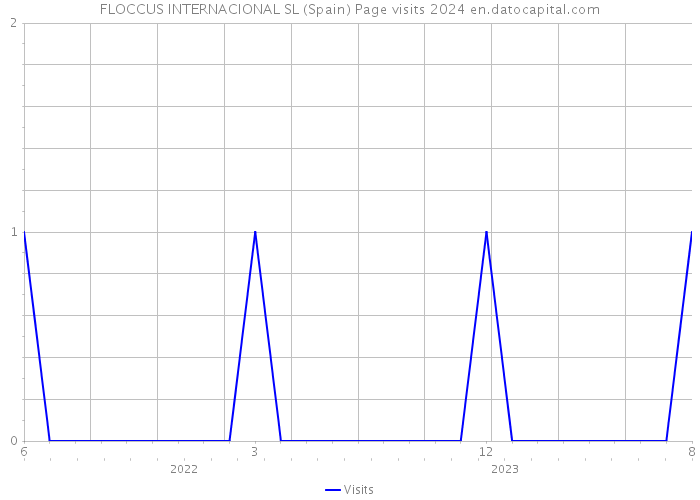 FLOCCUS INTERNACIONAL SL (Spain) Page visits 2024 