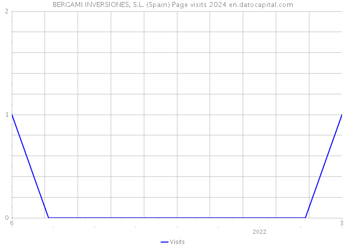 BERGAMI INVERSIONES, S.L. (Spain) Page visits 2024 