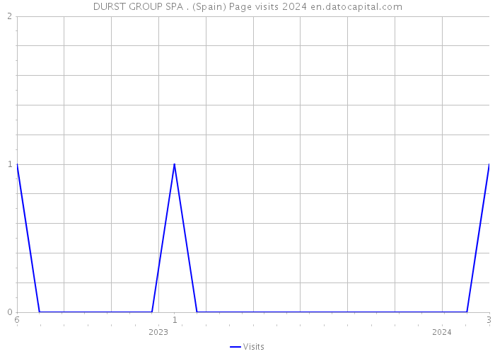 DURST GROUP SPA . (Spain) Page visits 2024 