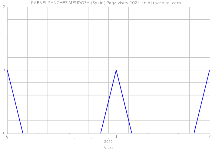 RAFAEL SANCHEZ MENDOZA (Spain) Page visits 2024 