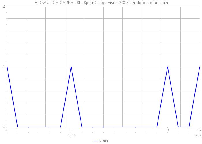 HIDRAULICA CARRAL SL (Spain) Page visits 2024 