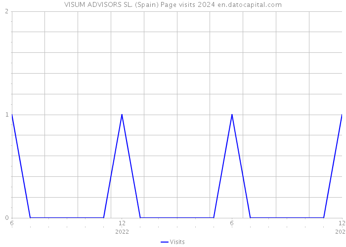 VISUM ADVISORS SL. (Spain) Page visits 2024 