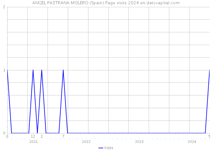 ANGEL PASTRANA MOLERO (Spain) Page visits 2024 