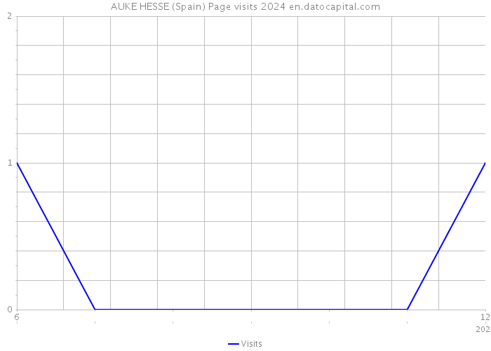 AUKE HESSE (Spain) Page visits 2024 