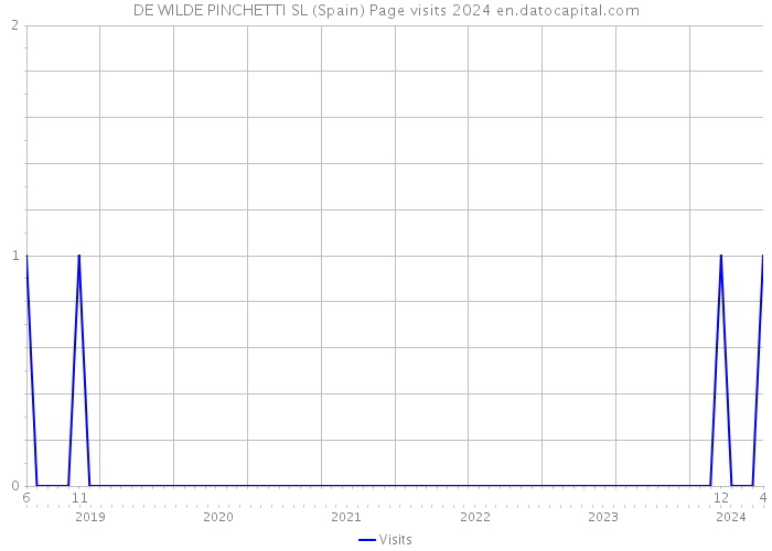 DE WILDE PINCHETTI SL (Spain) Page visits 2024 