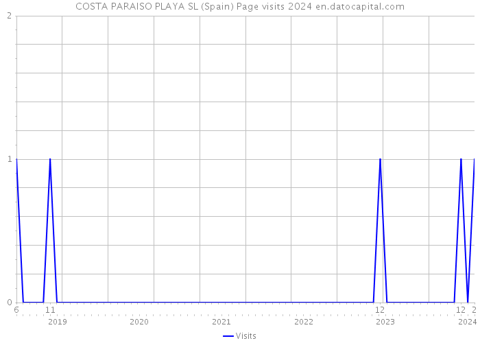 COSTA PARAISO PLAYA SL (Spain) Page visits 2024 
