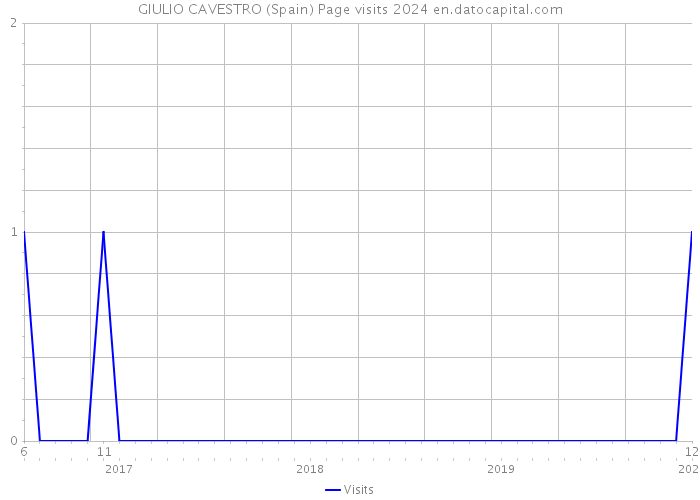 GIULIO CAVESTRO (Spain) Page visits 2024 