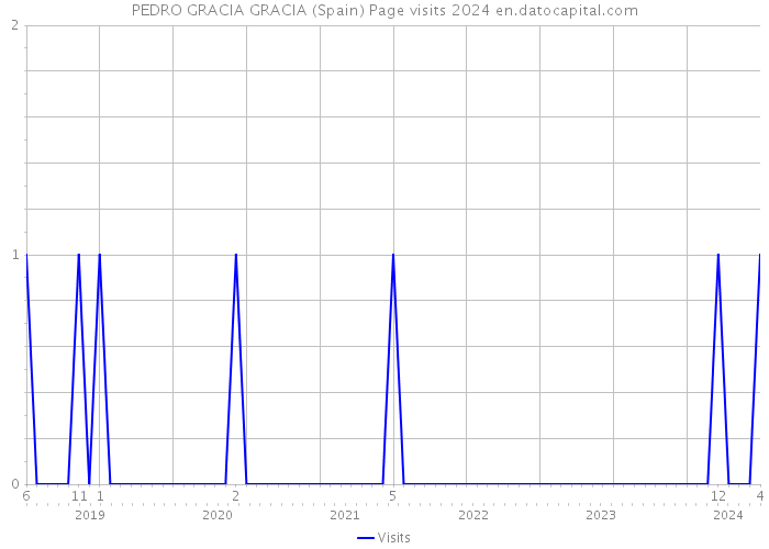PEDRO GRACIA GRACIA (Spain) Page visits 2024 