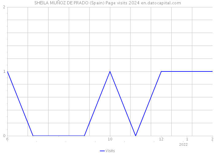 SHEILA MUÑOZ DE PRADO (Spain) Page visits 2024 