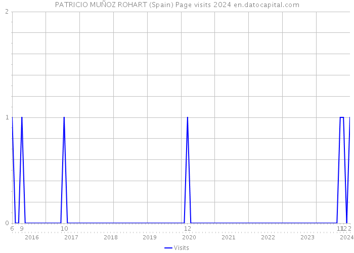 PATRICIO MUÑOZ ROHART (Spain) Page visits 2024 