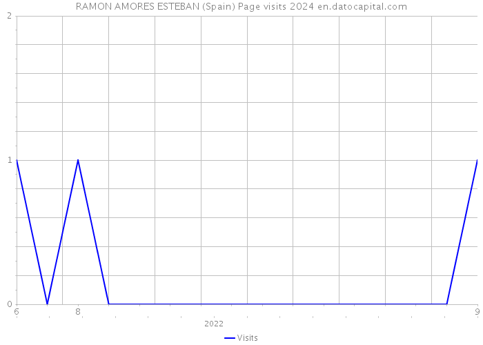 RAMON AMORES ESTEBAN (Spain) Page visits 2024 