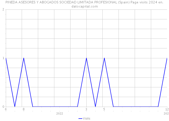 PINEDA ASESORES Y ABOGADOS SOCIEDAD LIMITADA PROFESIONAL (Spain) Page visits 2024 