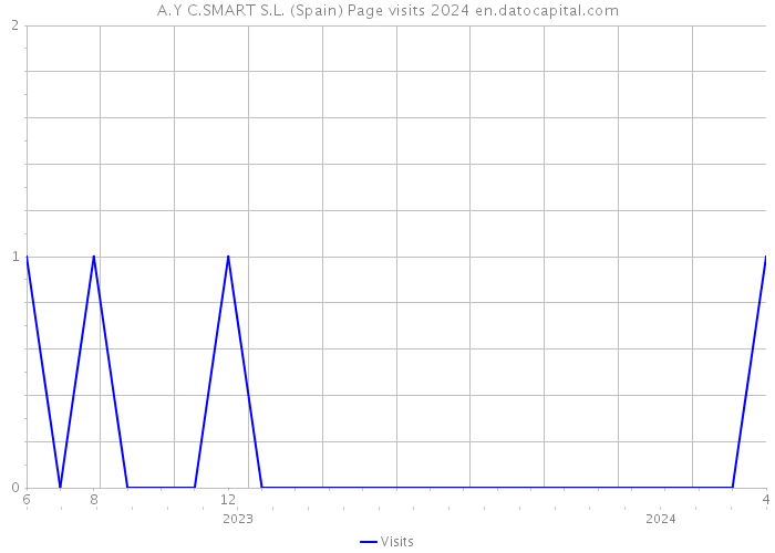 A.Y C.SMART S.L. (Spain) Page visits 2024 