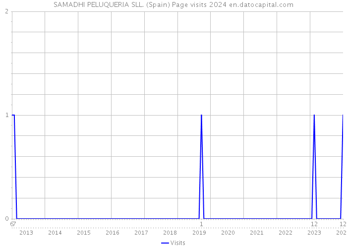SAMADHI PELUQUERIA SLL. (Spain) Page visits 2024 
