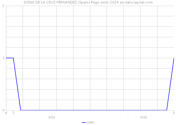SONIA DE LA CRUZ FERNANDEZ (Spain) Page visits 2024 