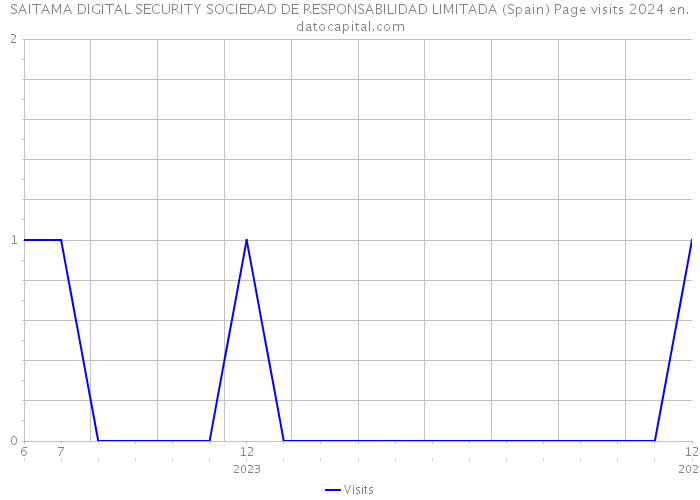 SAITAMA DIGITAL SECURITY SOCIEDAD DE RESPONSABILIDAD LIMITADA (Spain) Page visits 2024 