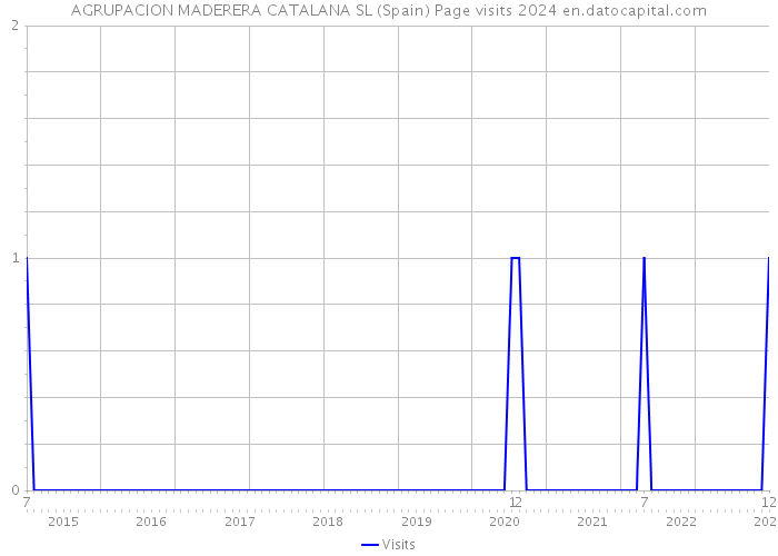 AGRUPACION MADERERA CATALANA SL (Spain) Page visits 2024 