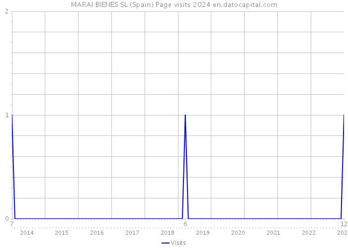 MARAI BIENES SL (Spain) Page visits 2024 