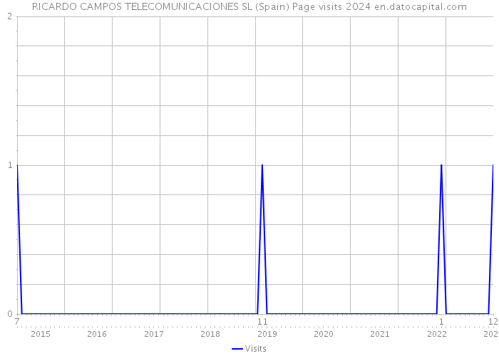 RICARDO CAMPOS TELECOMUNICACIONES SL (Spain) Page visits 2024 