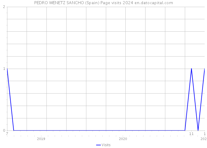 PEDRO WENETZ SANCHO (Spain) Page visits 2024 
