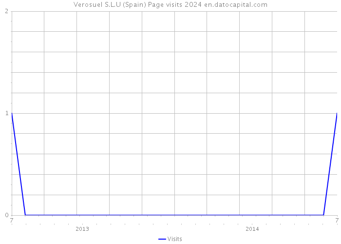 Verosuel S.L.U (Spain) Page visits 2024 