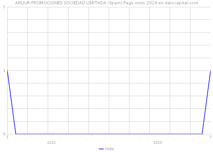 ARLIUR PROMOCIONES SOCIEDAD LIMITADA (Spain) Page visits 2024 