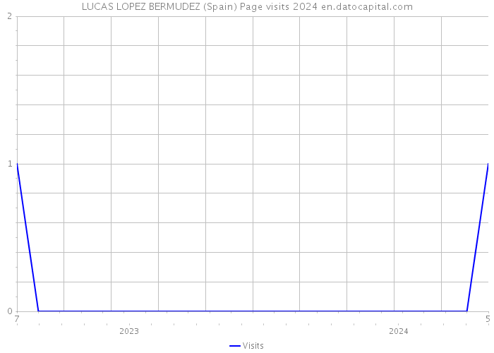 LUCAS LOPEZ BERMUDEZ (Spain) Page visits 2024 