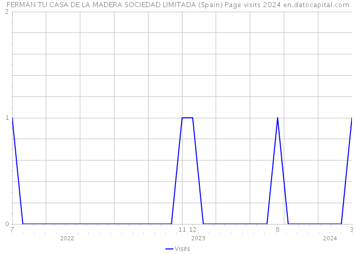 FERMAN TU CASA DE LA MADERA SOCIEDAD LIMITADA (Spain) Page visits 2024 