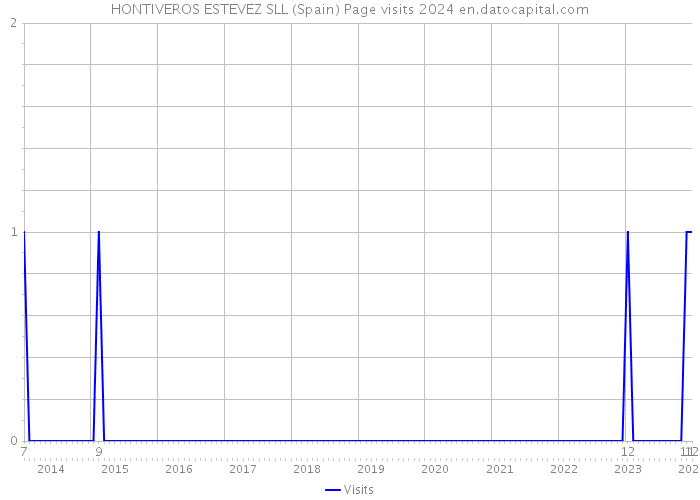 HONTIVEROS ESTEVEZ SLL (Spain) Page visits 2024 