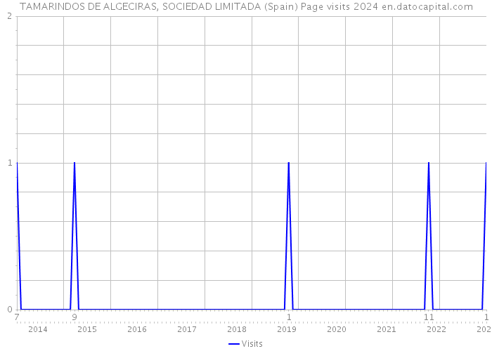 TAMARINDOS DE ALGECIRAS, SOCIEDAD LIMITADA (Spain) Page visits 2024 