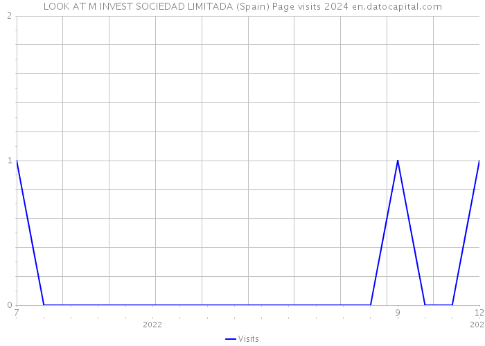 LOOK AT M INVEST SOCIEDAD LIMITADA (Spain) Page visits 2024 