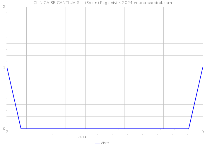 CLINICA BRIGANTIUM S.L. (Spain) Page visits 2024 