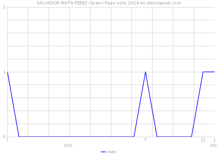 SALVADOR MATA PEREZ (Spain) Page visits 2024 