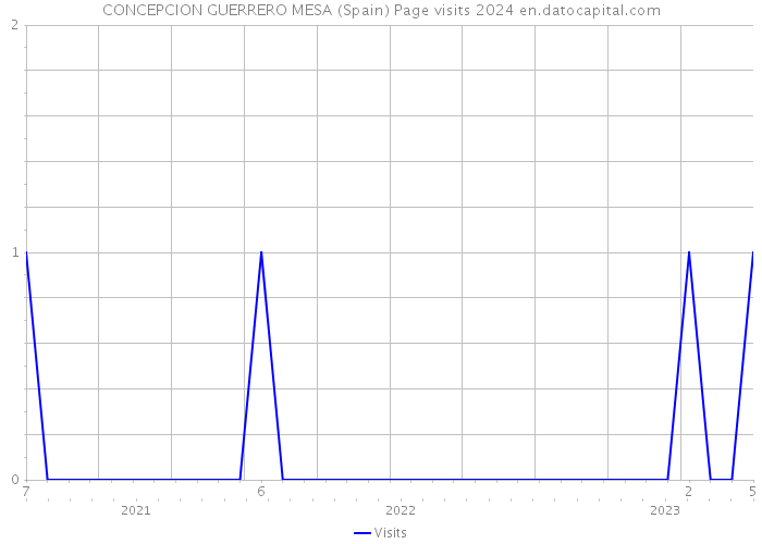 CONCEPCION GUERRERO MESA (Spain) Page visits 2024 