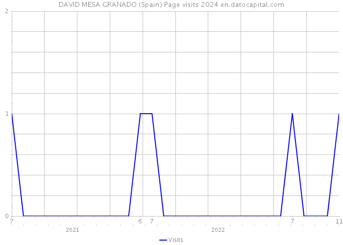 DAVID MESA GRANADO (Spain) Page visits 2024 