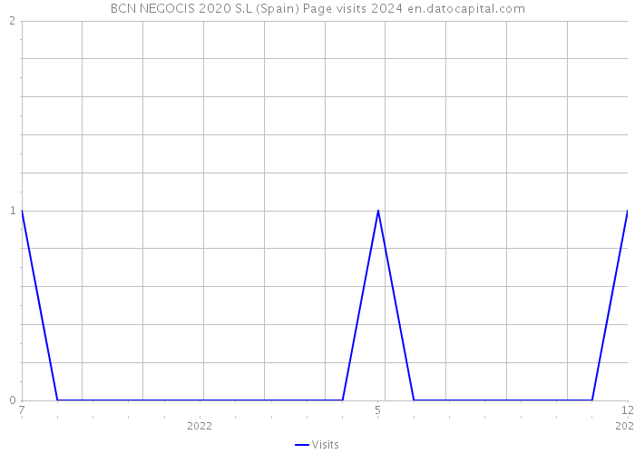 BCN NEGOCIS 2020 S.L (Spain) Page visits 2024 