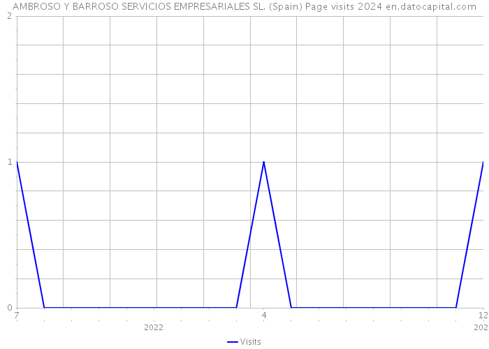 AMBROSO Y BARROSO SERVICIOS EMPRESARIALES SL. (Spain) Page visits 2024 