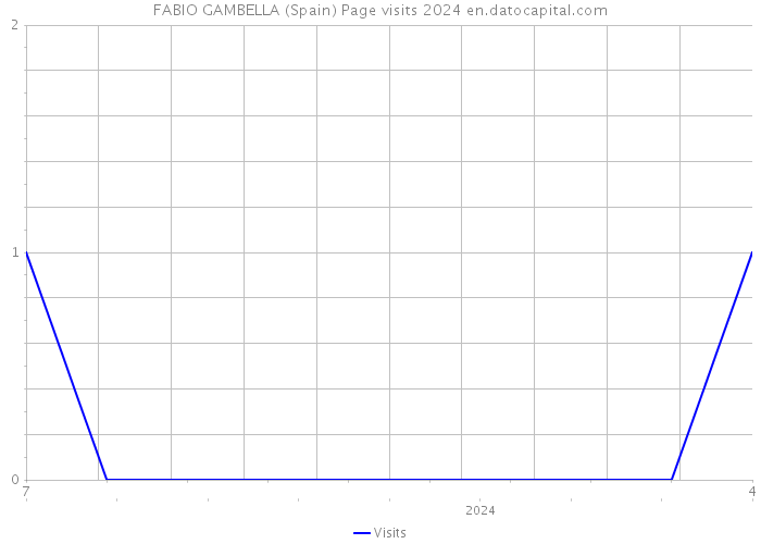 FABIO GAMBELLA (Spain) Page visits 2024 
