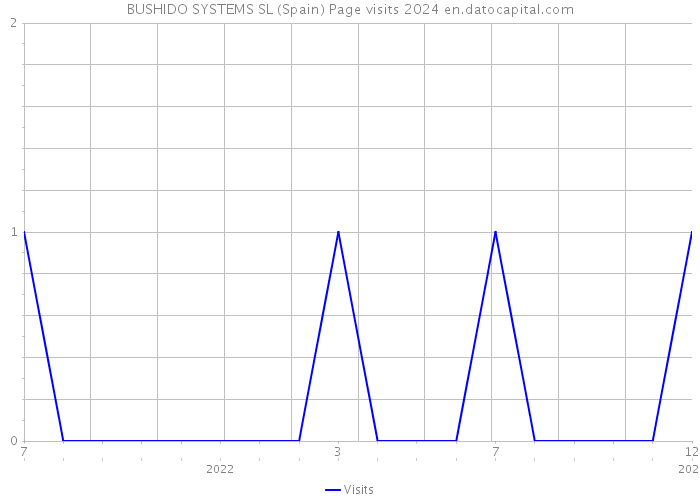 BUSHIDO SYSTEMS SL (Spain) Page visits 2024 