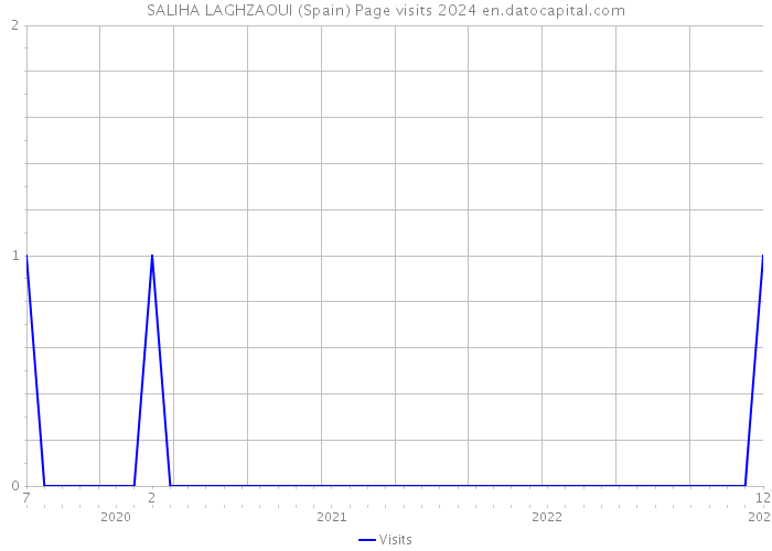 SALIHA LAGHZAOUI (Spain) Page visits 2024 