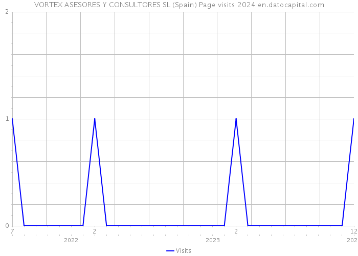VORTEX ASESORES Y CONSULTORES SL (Spain) Page visits 2024 
