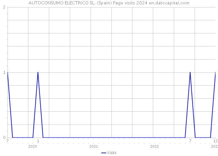 AUTOCONSUMO ELECTRICO SL. (Spain) Page visits 2024 