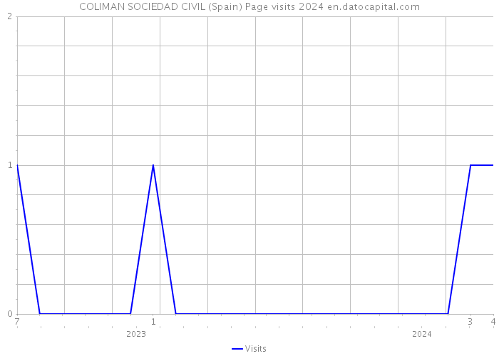 COLIMAN SOCIEDAD CIVIL (Spain) Page visits 2024 
