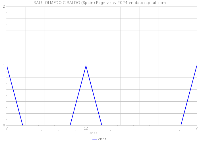RAUL OLMEDO GIRALDO (Spain) Page visits 2024 
