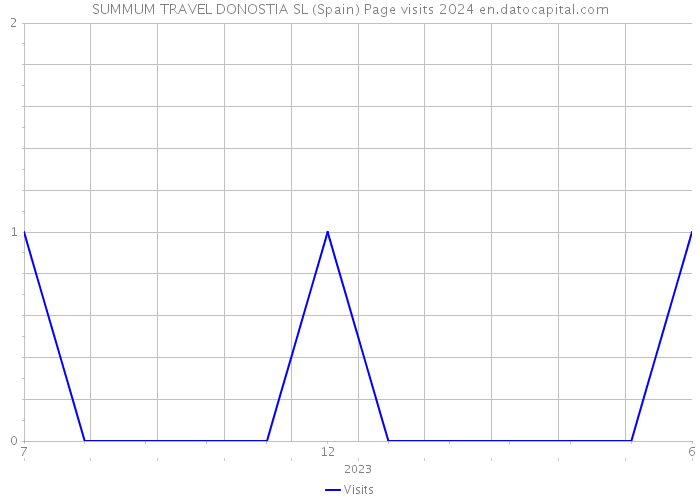 SUMMUM TRAVEL DONOSTIA SL (Spain) Page visits 2024 