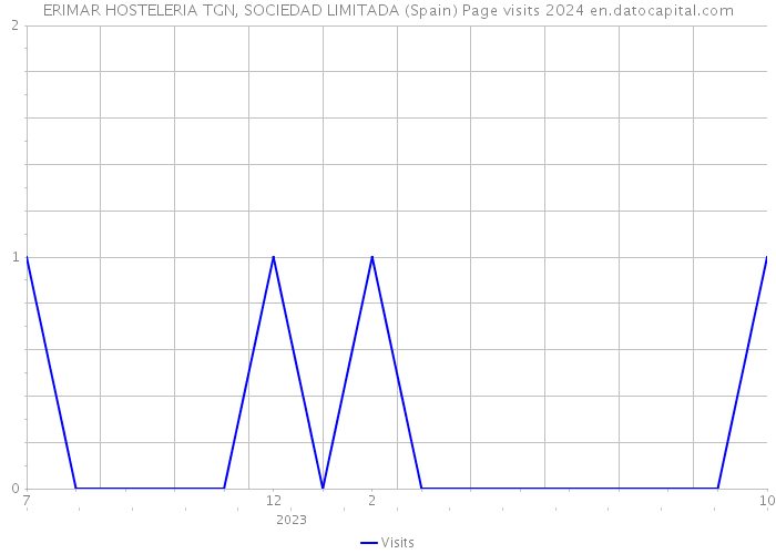 ERIMAR HOSTELERIA TGN, SOCIEDAD LIMITADA (Spain) Page visits 2024 