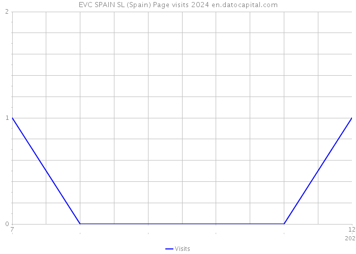 EVC SPAIN SL (Spain) Page visits 2024 