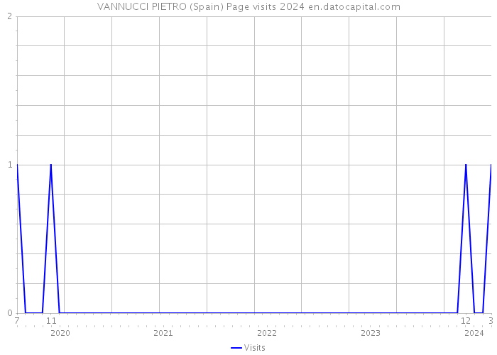 VANNUCCI PIETRO (Spain) Page visits 2024 